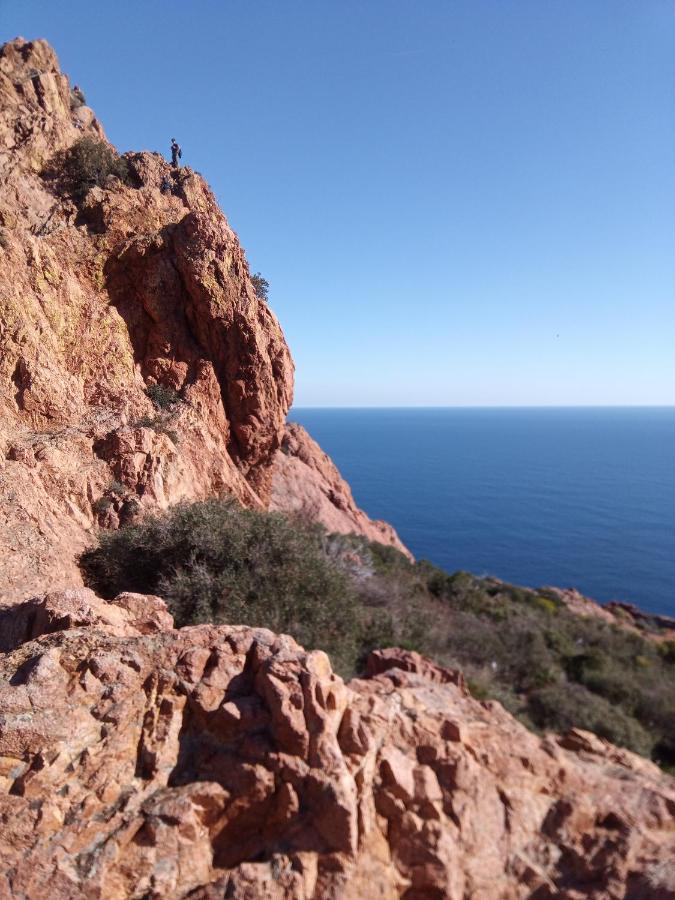 Frejus Plage, Appartement Entier , Piscine,Parking,Plage A 200M Exteriér fotografie